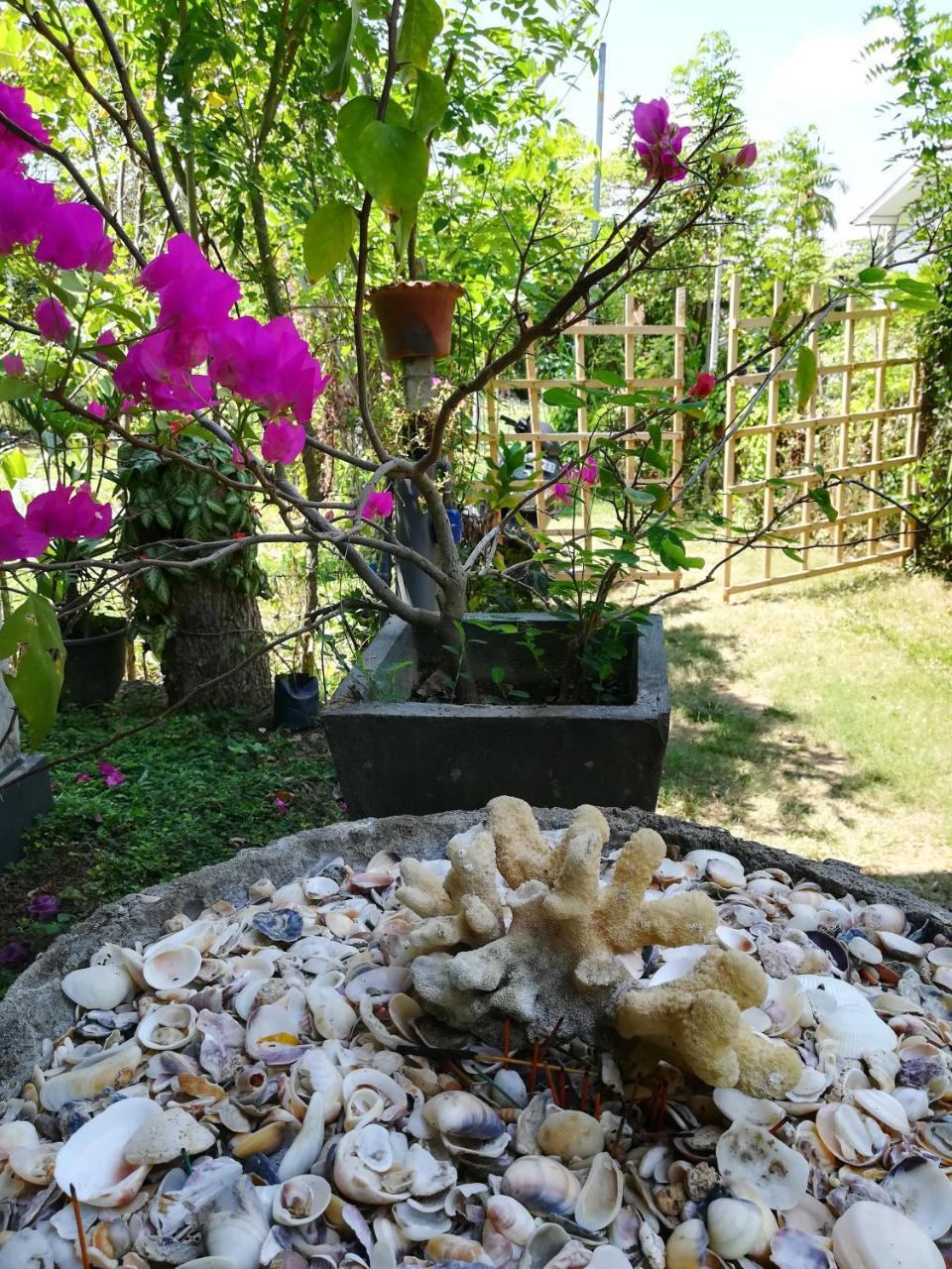 Julianu Hotel Tangalle Buitenkant foto