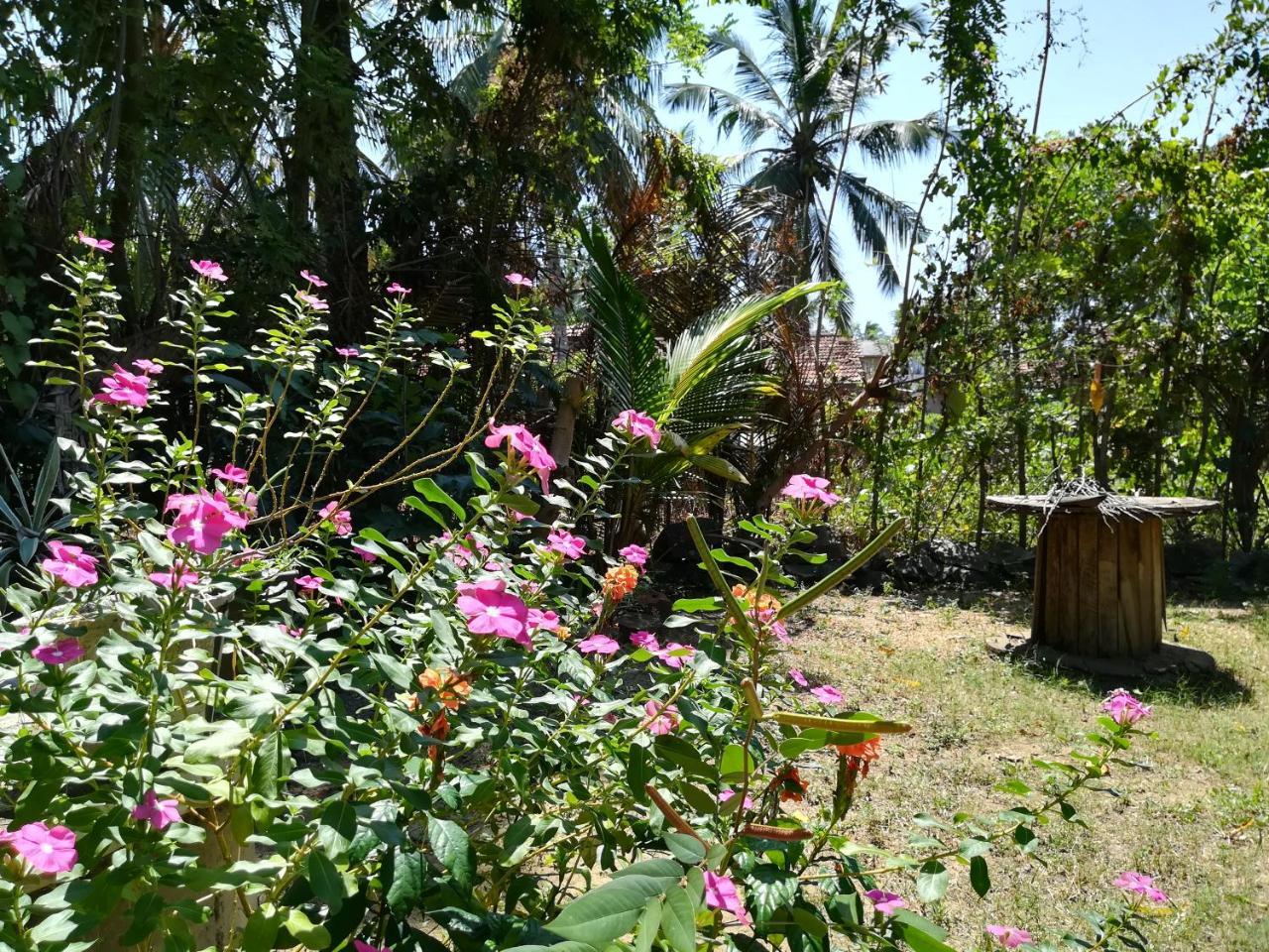 Julianu Hotel Tangalle Buitenkant foto